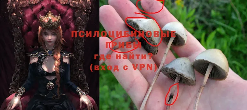 Галлюциногенные грибы MAGIC MUSHROOMS Новопавловск